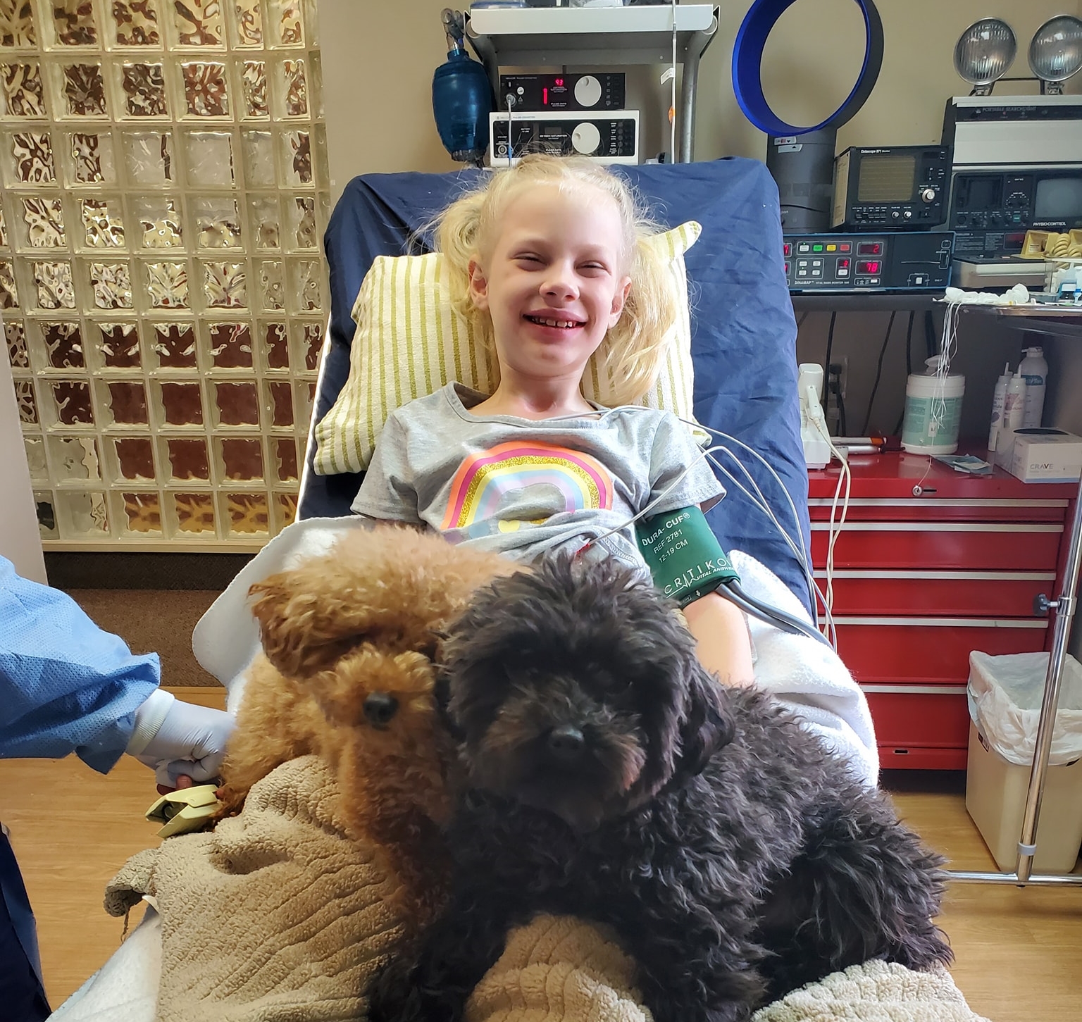 Child at dentist office with dental therapy dogs