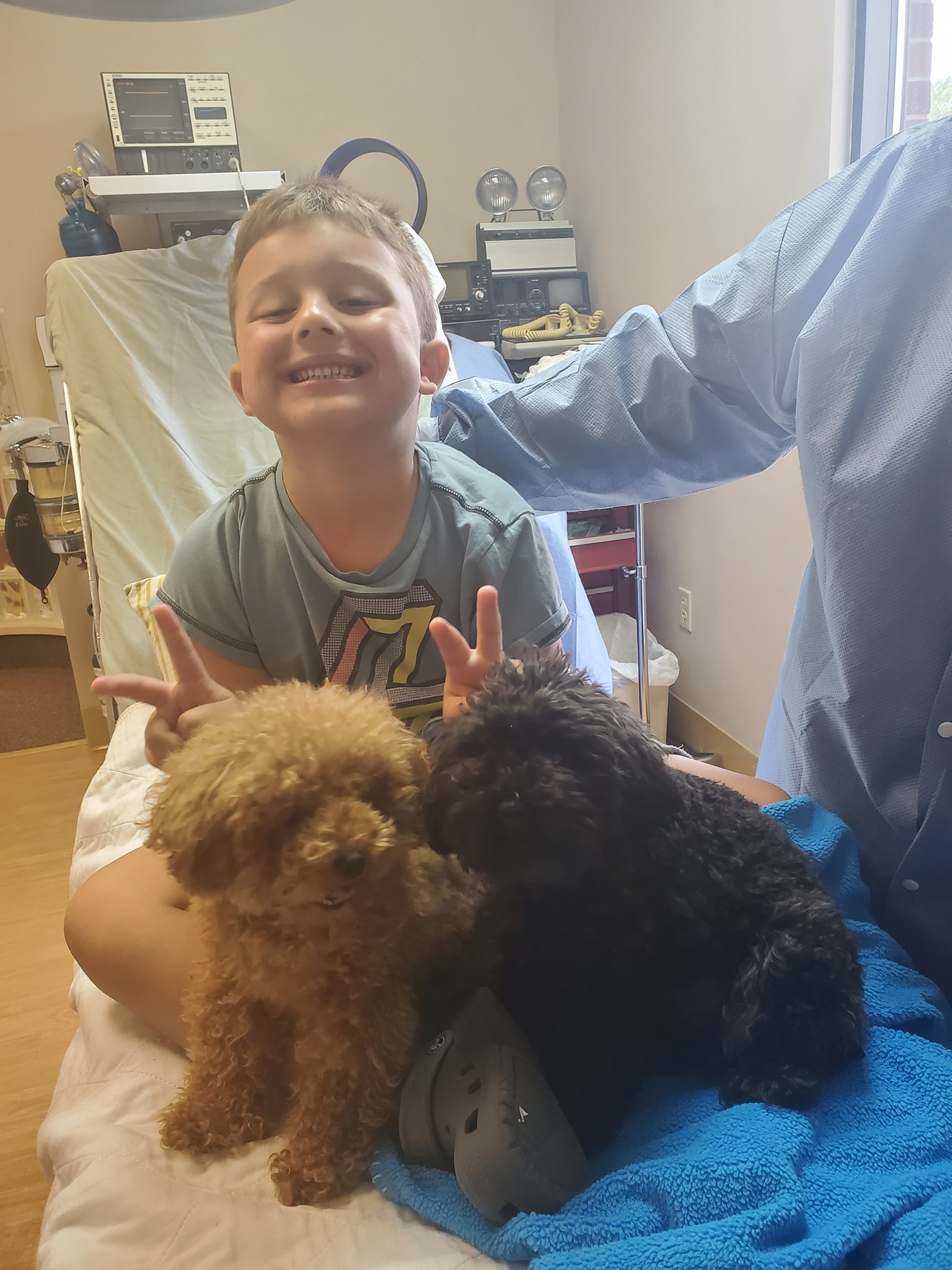 dental therapy dogs with pediatric patient