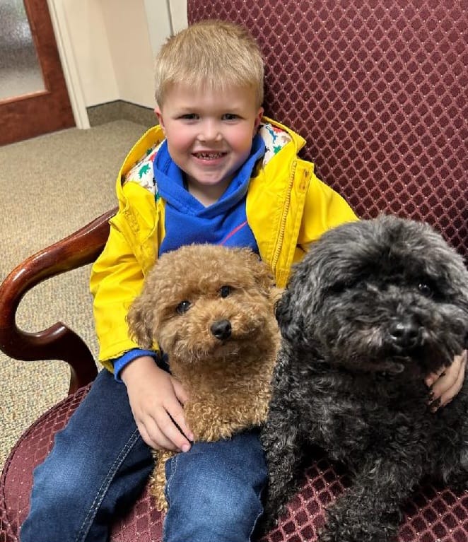 A young boy sitting with Gizmo and Gadget the dogs