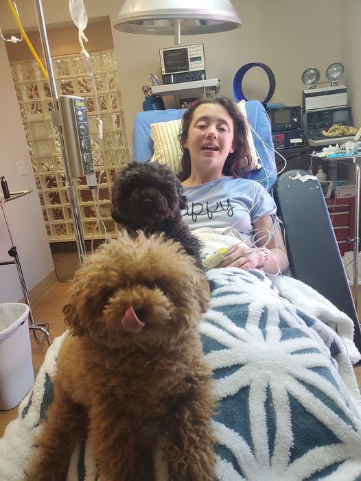 A patient on the examination table with Gizmo and Gadget the dogs 