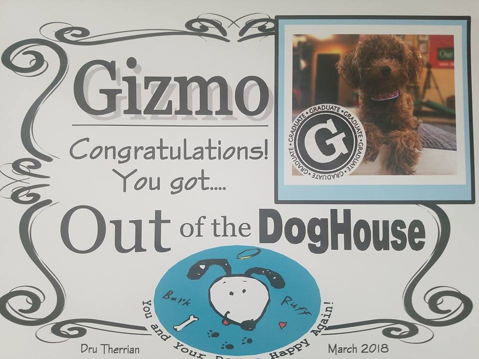 IT'S OFFICIAL: Meet Dogtor Gizmo!