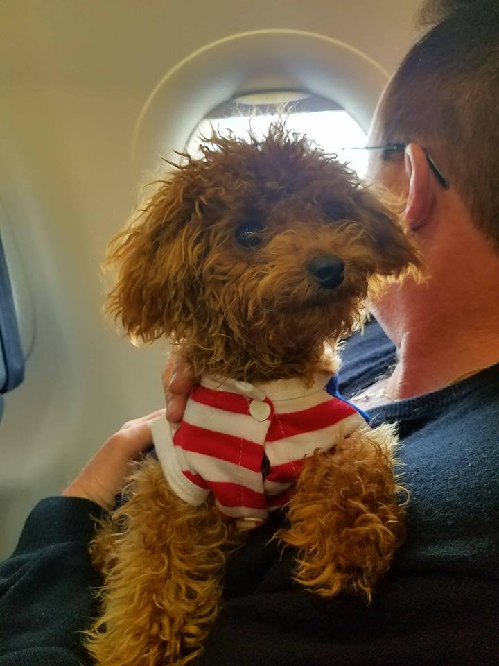 First Plane Ride