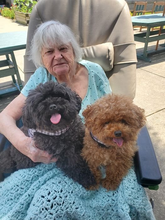 Gadget, Gizmo, and Granny