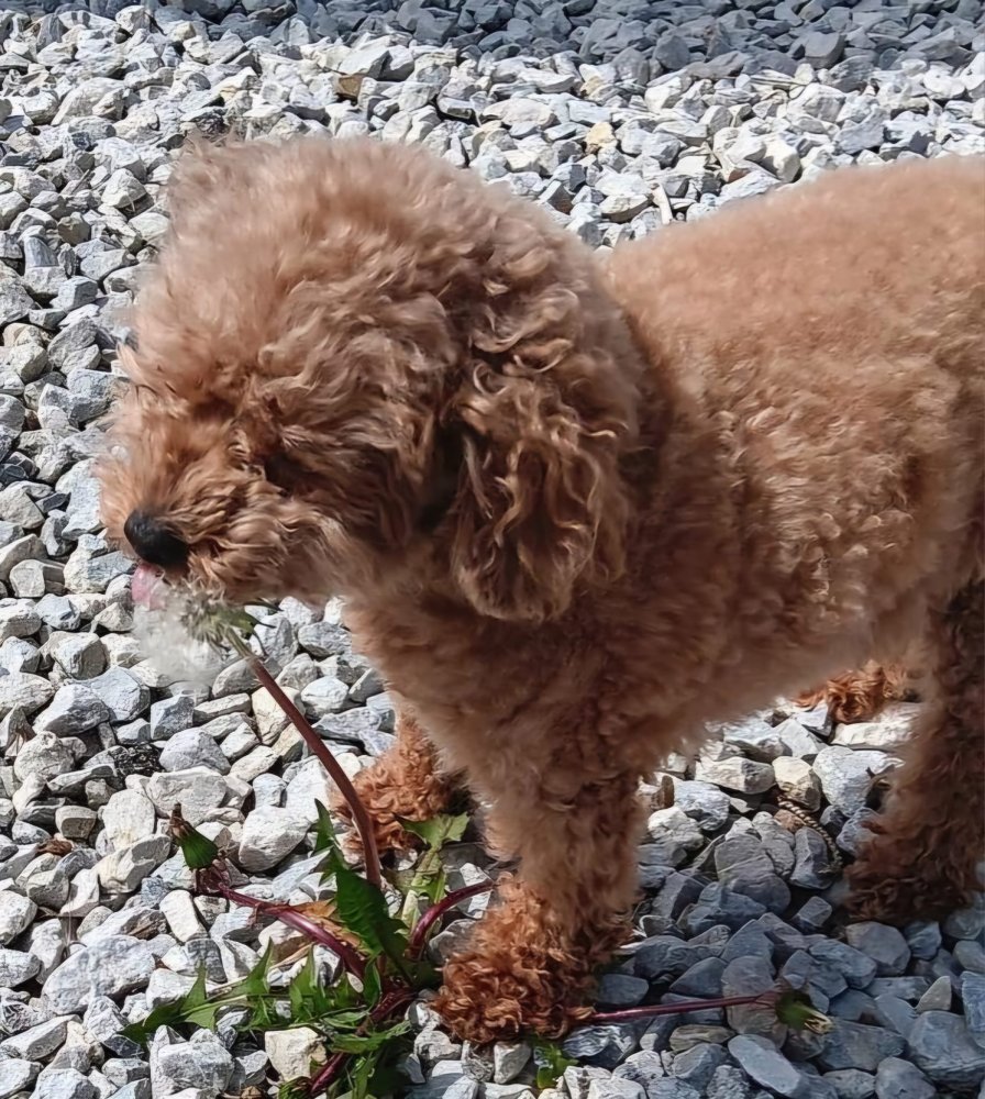 A Little Outside Time!