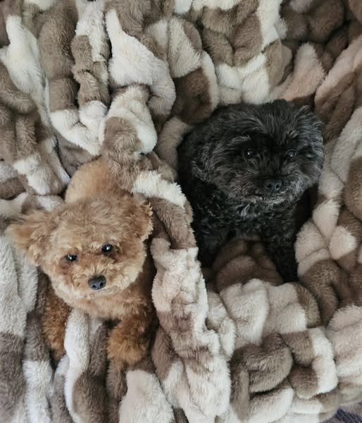 Cozy Spring Cuddles!