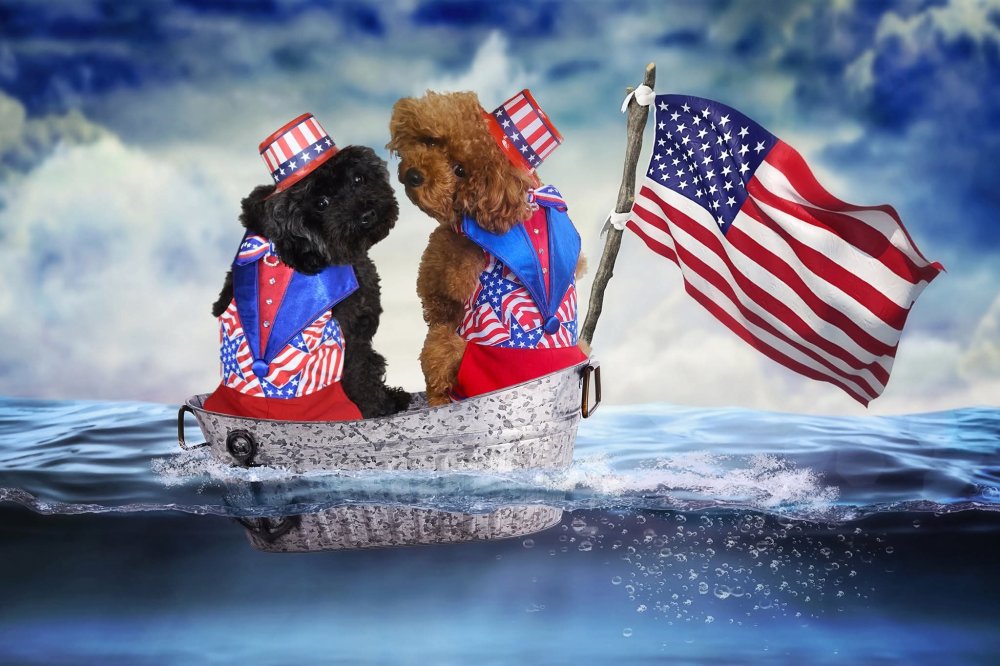Happy Independence Day!