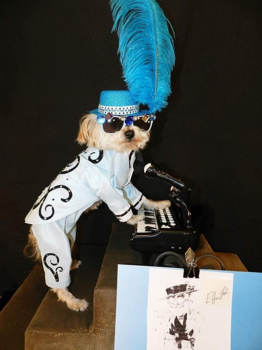 A yorkshire terrier at a keyboard, wearing a blue suit and feathered hat