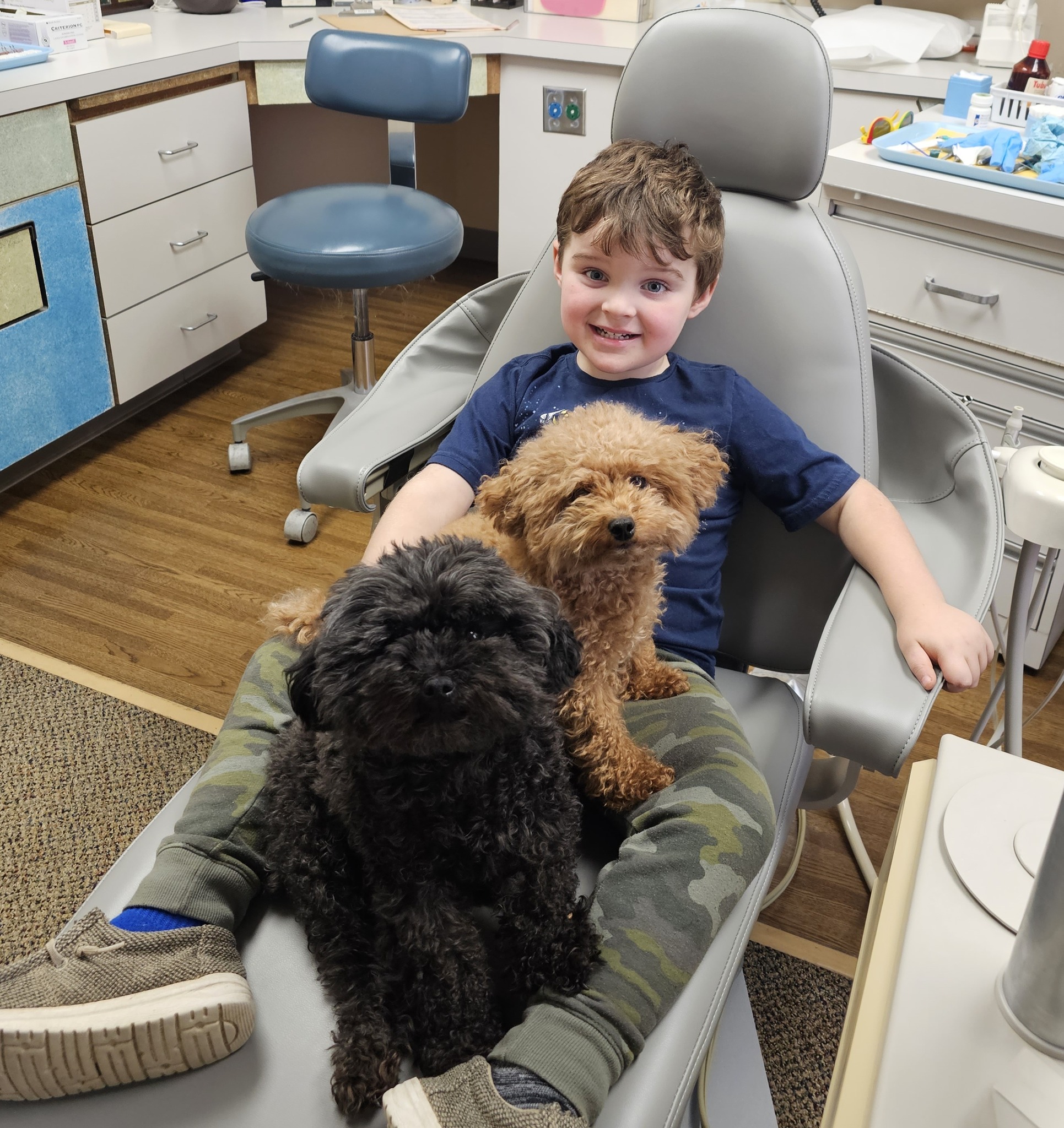 young dental patient in chair with therapy dogs gizmo and gadget 