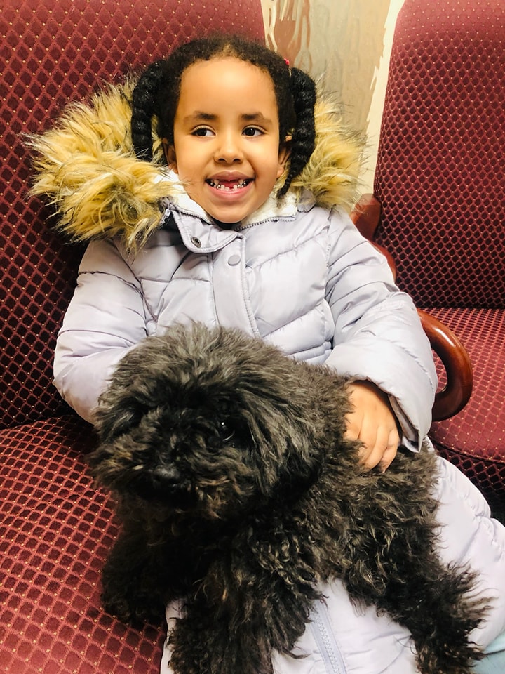 Girl with dental therapy dogs in Erie, PA