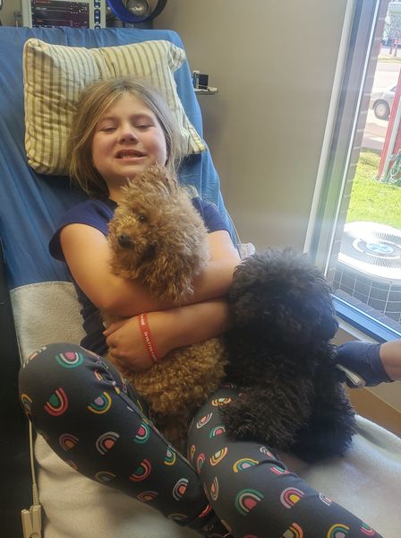 dental therapy dogs with child patient